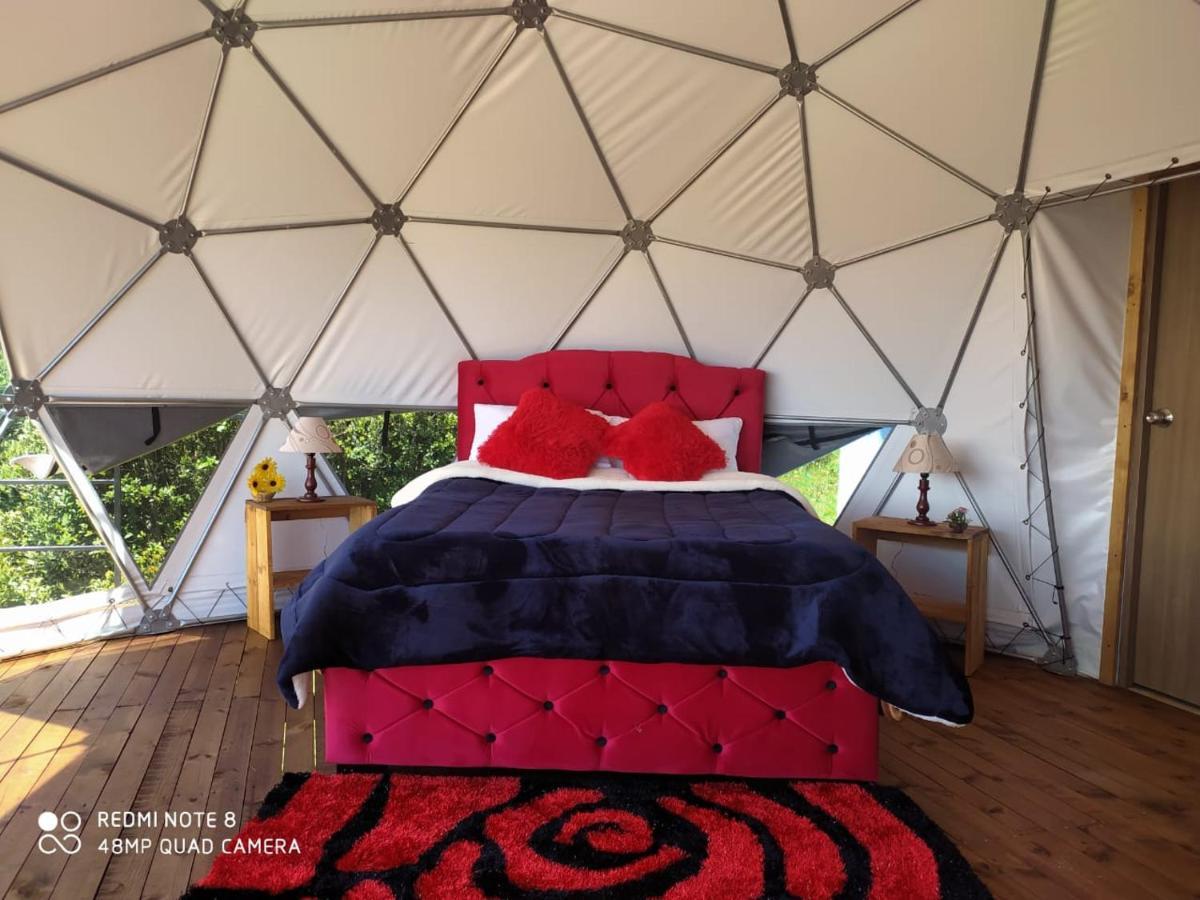 Glamping Hermoso Amanecer 瓜塔维塔 外观 照片