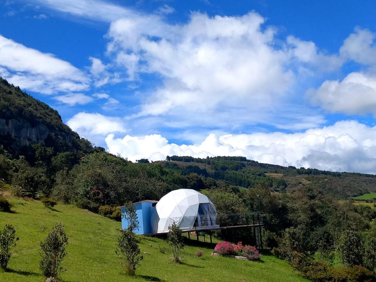 Glamping Hermoso Amanecer 瓜塔维塔 外观 照片