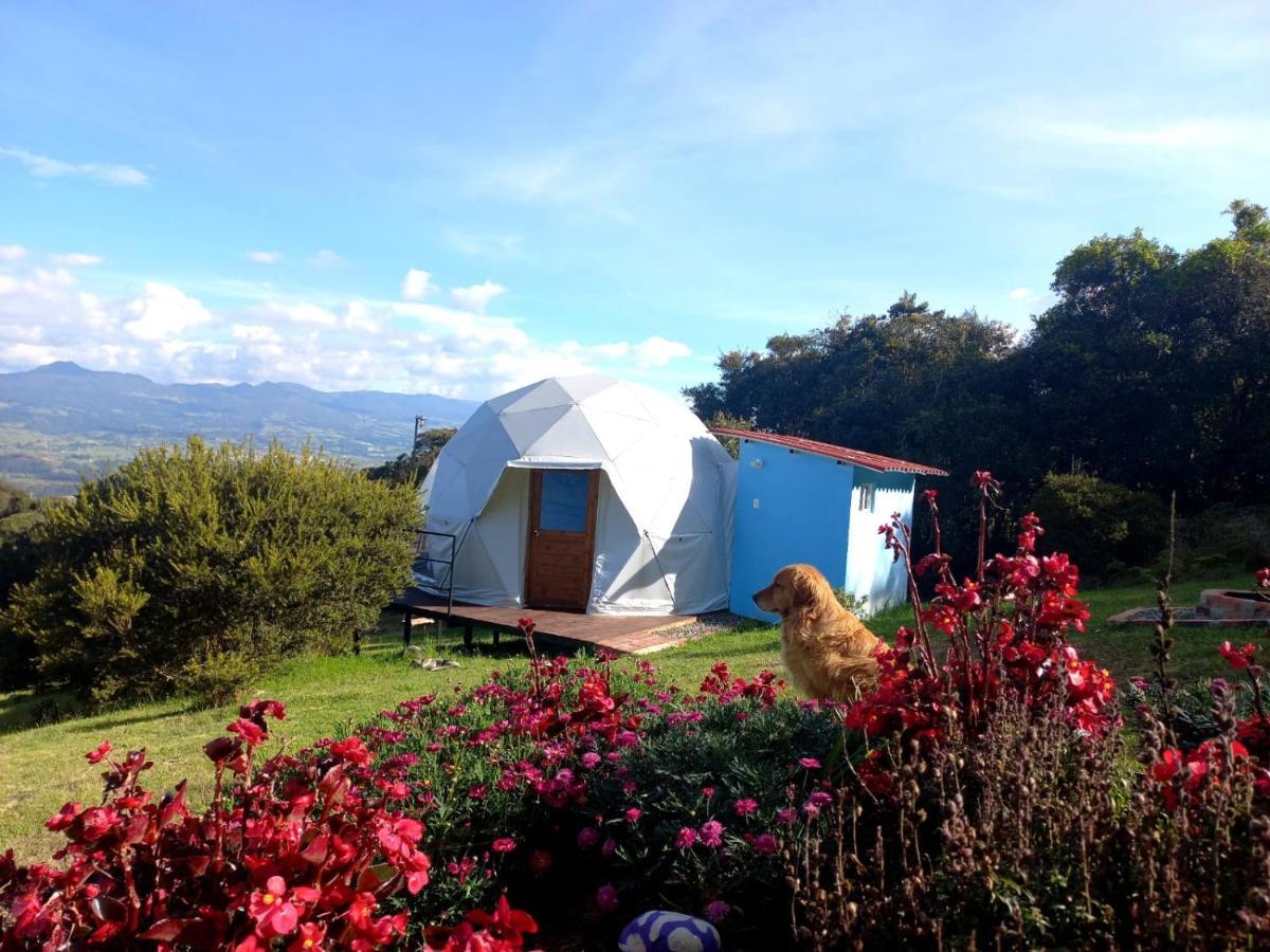 Glamping Hermoso Amanecer 瓜塔维塔 外观 照片