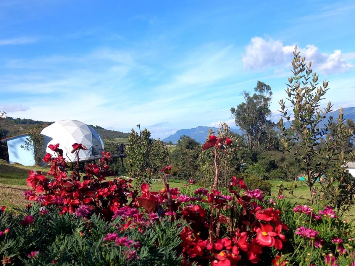 Glamping Hermoso Amanecer 瓜塔维塔 外观 照片