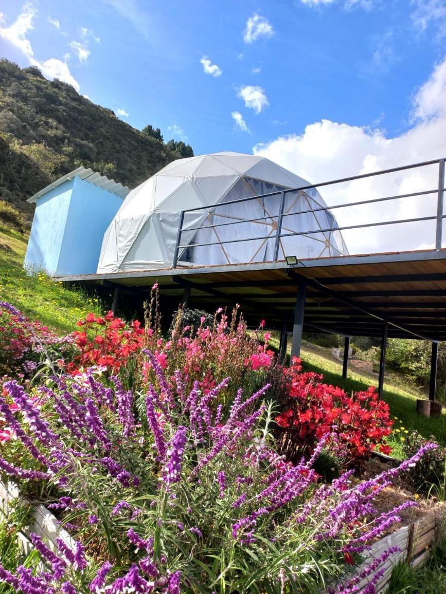 Glamping Hermoso Amanecer 瓜塔维塔 外观 照片