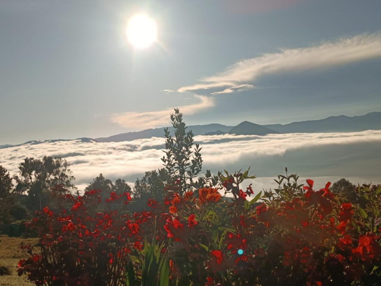 Glamping Hermoso Amanecer 瓜塔维塔 外观 照片