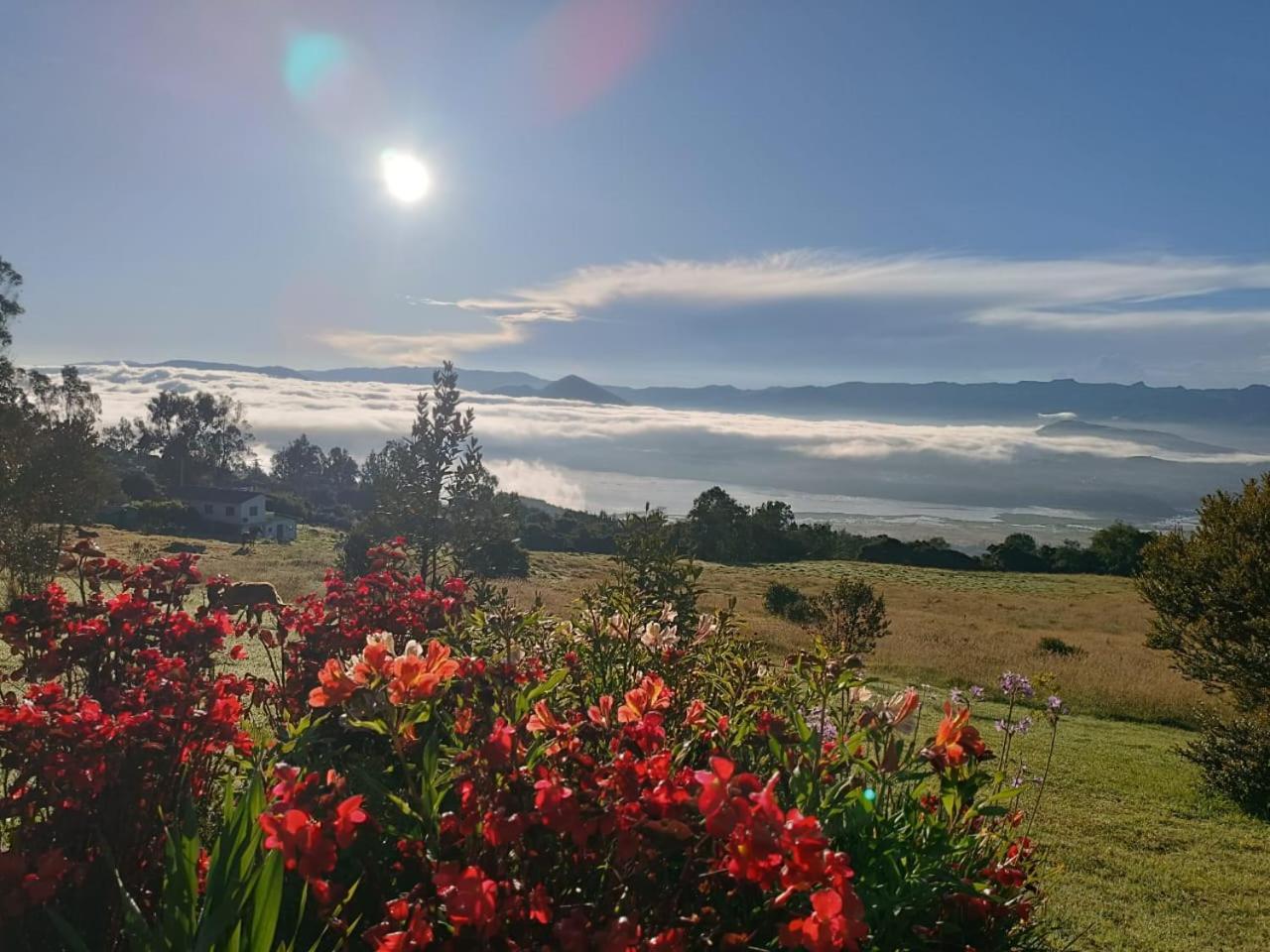 Glamping Hermoso Amanecer 瓜塔维塔 外观 照片