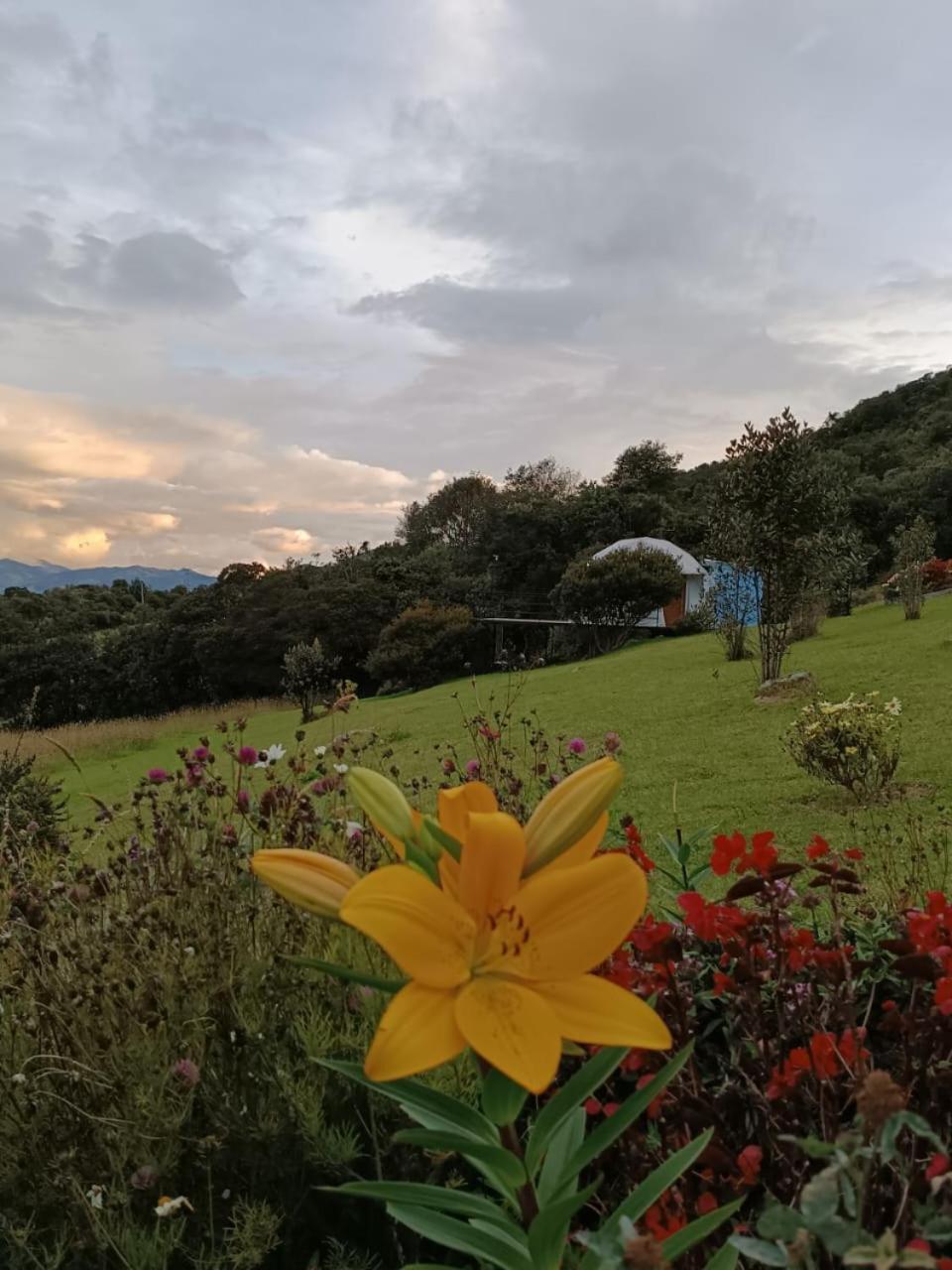 Glamping Hermoso Amanecer 瓜塔维塔 外观 照片