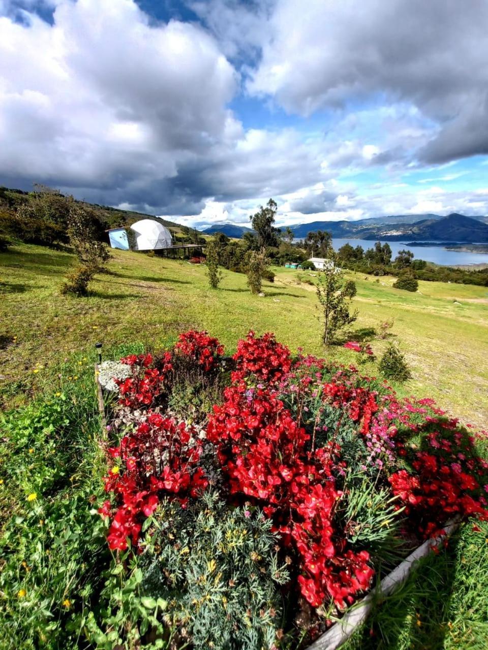 Glamping Hermoso Amanecer 瓜塔维塔 外观 照片