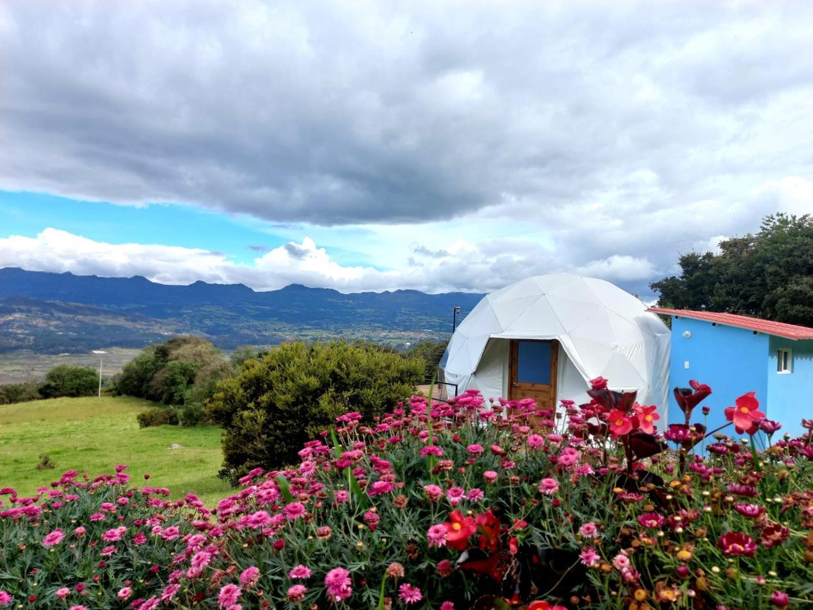 Glamping Hermoso Amanecer 瓜塔维塔 外观 照片